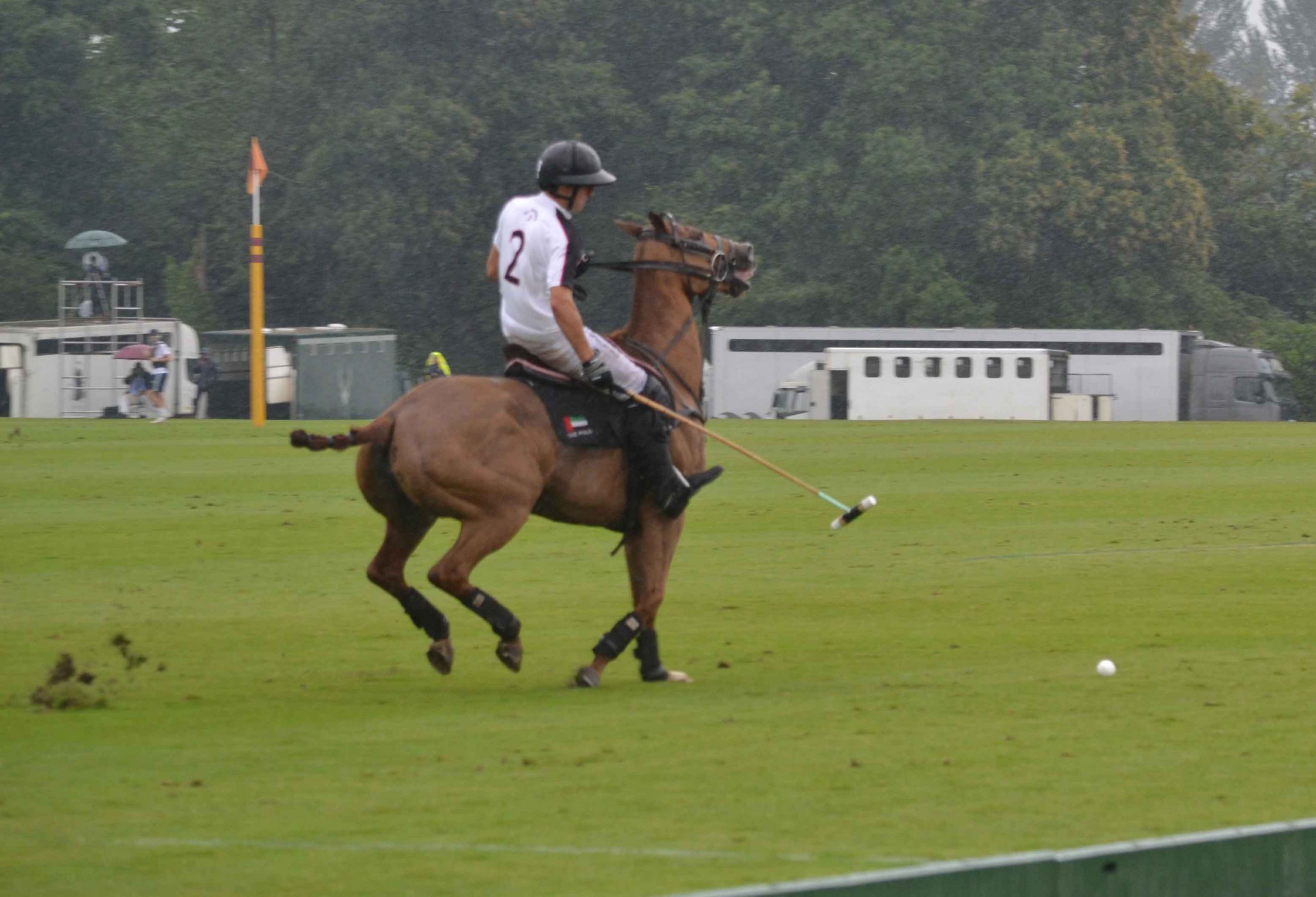 Cowdray Gold Cup Polo
